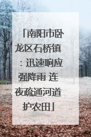 南阳市卧龙区石桥镇：迅速响应强降雨 连夜疏通河道护农田