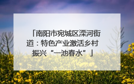 南阳市宛城区溧河街道：特色产业激活乡村振兴“一池春水”