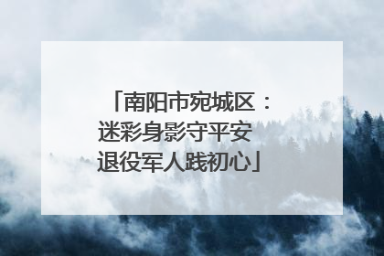南阳市宛城区：迷彩身影守平安 退役军人践初心