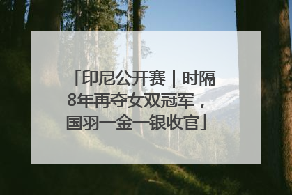 印尼公开赛｜时隔8年再夺女双冠军，国羽一金一银收官