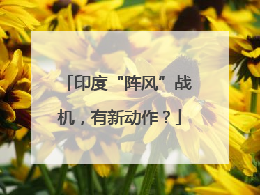 印度“阵风”战机，有新动作？