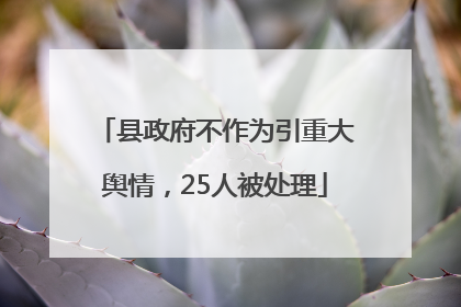 县政府不作为引重大舆情，25人被处理