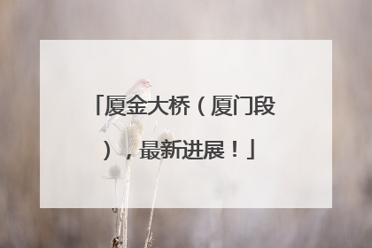 厦金大桥（厦门段），最新进展！
