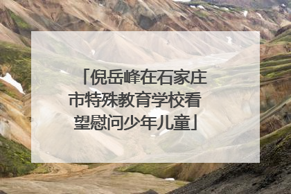 倪岳峰在石家庄市特殊教育学校看望慰问少年儿童