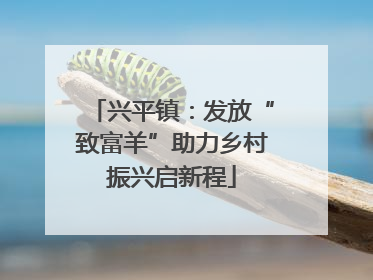 兴平镇：发放“致富羊”助力乡村振兴启新程