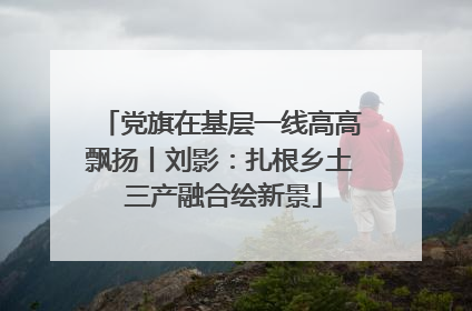 党旗在基层一线高高飘扬丨刘影：扎根乡土 三产融合绘新景