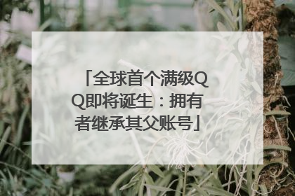 全球首个满级QQ即将诞生：拥有者继承其父账号