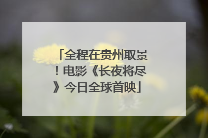 全程在贵州取景！电影《长夜将尽》今日全球首映