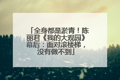 全身都是淤青！陈丽君《我的大观园》幕后：面对滚楼梯，没有做不到