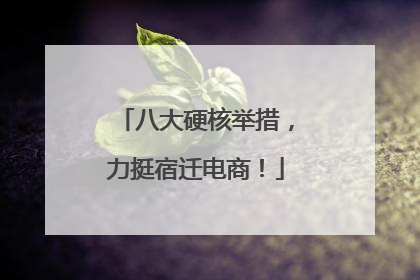 八大硬核举措，力挺宿迁电商！