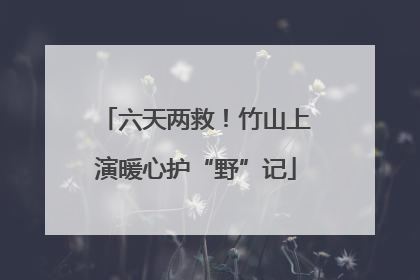 六天两救！竹山上演暖心护“野”记