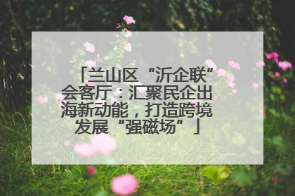 兰山区“沂企联”会客厅：汇聚民企出海新动能，打造跨境发展“强磁场”