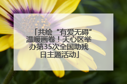 共绘“有爱无碍”温暖画卷！天心区举办第35次全国助残日主题活动