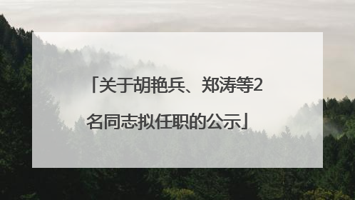 关于胡艳兵、郑涛等2名同志拟任职的公示