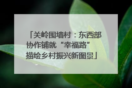 关岭围墙村：东西部协作铺就“幸福路” 描绘乡村振兴新图景