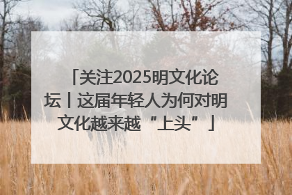 关注2025明文化论坛丨这届年轻人为何对明文化越来越“上头”