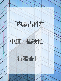 内蒙古科左中旗：插秧忙 待稻香