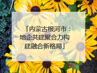内蒙古根河市：地企共建聚合力构建融合新格局