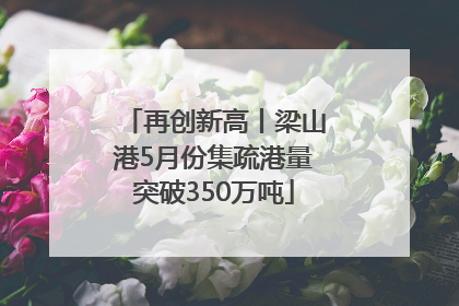 再创新高丨梁山港5月份集疏港量突破350万吨