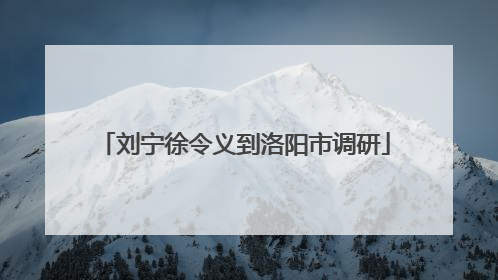 刘宁徐令义到洛阳市调研