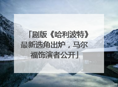 剧版《哈利波特》最新选角出炉，马尔福饰演者公开