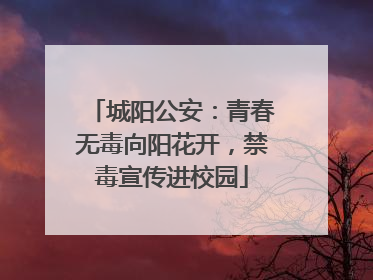 城阳公安：青春无毒向阳花开，禁毒宣传进校园