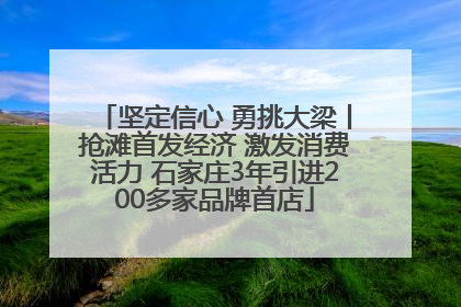 坚定信心 勇挑大梁丨抢滩首发经济 激发消费活力 石家庄3年引进200多家品牌首店