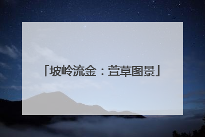 坡岭流金：萱草图景