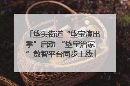 垡头街道“垡宝演出季”启动 “垡宝治家”数智平台同步上线