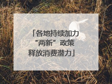 各地持续加力“两新”政策 释放消费潜力