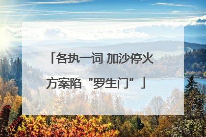 各执一词 加沙停火方案陷“罗生门”