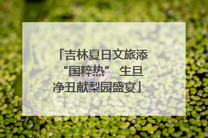吉林夏日文旅添“国粹热” 生旦净丑献梨园盛宴