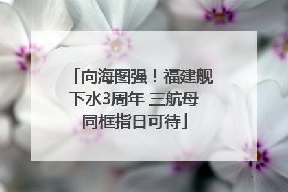 向海图强！福建舰下水3周年 三航母同框指日可待