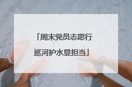 周末党员志愿行 巡河护水显担当
