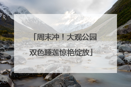 周末冲！大观公园双色睡莲惊艳绽放