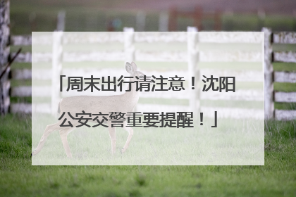 周末出行请注意！沈阳公安交警重要提醒！