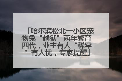 哈尔滨松北一小区宠物兔“越狱”两年繁育四代，业主有人“稀罕”有人忧，专家提醒