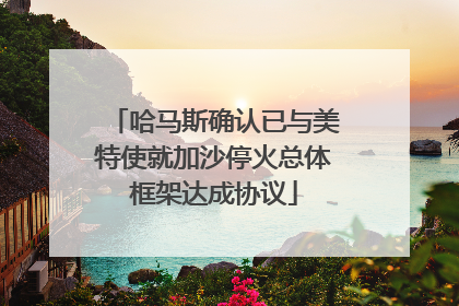 哈马斯确认已与美特使就加沙停火总体框架达成协议