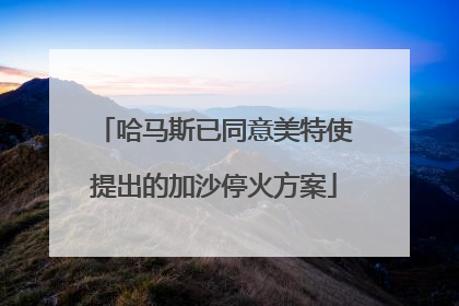 哈马斯已同意美特使提出的加沙停火方案