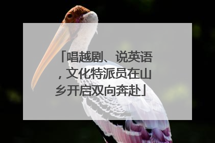 唱越剧、说英语，文化特派员在山乡开启双向奔赴