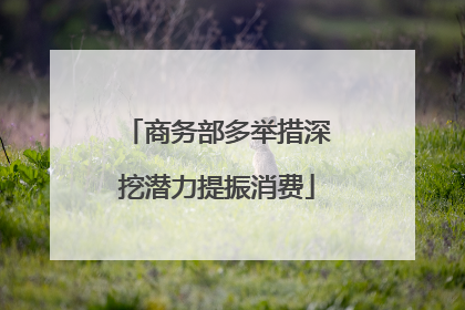 商务部多举措深挖潜力提振消费