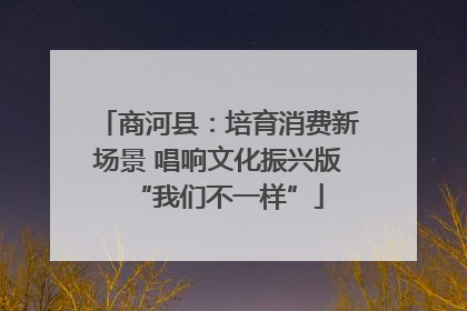 商河县：培育消费新场景 唱响文化振兴版“我们不一样”