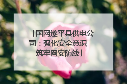 国网遂平县供电公司：强化安全意识 筑牢网安防线