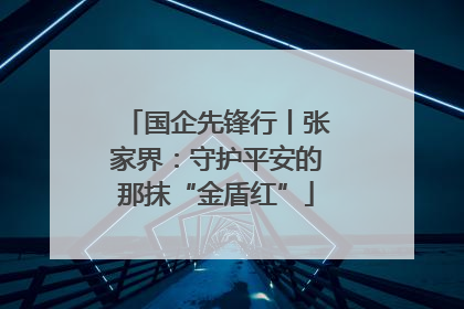 国企先锋行丨张家界：守护平安的那抹“金盾红”