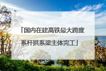 国内在建高铁最大跨度系杆拱系梁主体完工