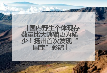 国内野生个体现存数量比大熊猫更为稀少！扬州首次发现“国宝”彩鹮