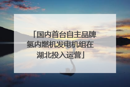 国内首台自主品牌氢内燃机发电机组在湖北投入运营