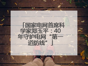 国家电网首席科学家郑玉平：40年守护电网“第一道防线”