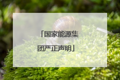 国家能源集团严正声明