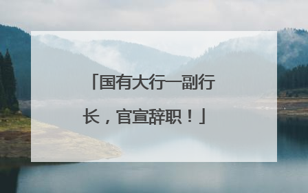 国有大行一副行长，官宣辞职！
